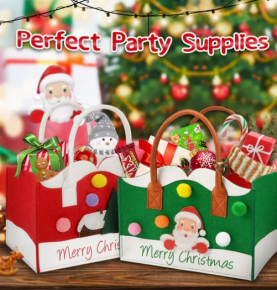 Merry Christmas(gift bag)